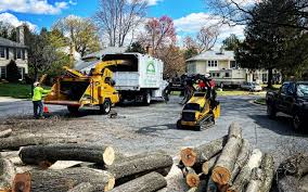 Best Utility Line Clearance  in Passaic, NJ