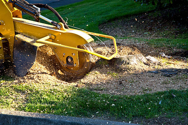 Artificial Turf Installation in Passaic, NJ